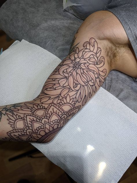 #tattoo #tattooideas #chrysanthemum Chrysanthemum Mandala Tattoo, Japanese Chrysanthemum, Chrysanthemum Tattoo, New Tattoo, Japanese Tattoo, Chrysanthemum, New Tattoos, Tattoo Ideas