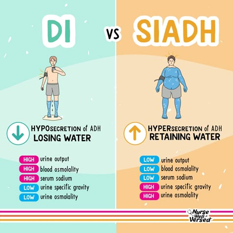 Hypo Vs Hyper Glycemia, Siadh Vs. Di, Di Vs Siadh Nursing, Siadh Vs Di, Siadh Nursing, Nursing School Prep, Nursing School Studying Cheat Sheets, Nurse Skills, Nursing School Essential