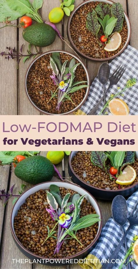 Learn how to eat a Low-FODMAP diet to manage IBS, even if you eat a plant-based, vegan, vegetarian, or flexitarian diet. #fodmapdiet #fodmaprecipes #guthealth #vegandiet #vegetariandiet Low Fodmap Plant Based Recipes, Diet For Vegetarians, Kate Scarlata, Wfpb Diet, Vegan Grocery List, Healthy Lunches For Work, Flexitarian Diet, Vegan Grocery, Fiber Diet