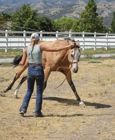 Team Penning Horses, Horse Training Aesthetic, Horse Trainer Aesthetic, Horse Rehabilitation, Horse Desensitizing, Rescue Aesthetic, Mustang Training, Horse Groundwork, Mustang Makeover