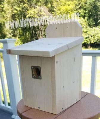 Squirrel House Diy How To Build, Squirrel House Diy, Squirrel Home, Squirrel House, Blink Camera, Squirrel Feeders, Fox Squirrel, Nesting Box, A Squirrel