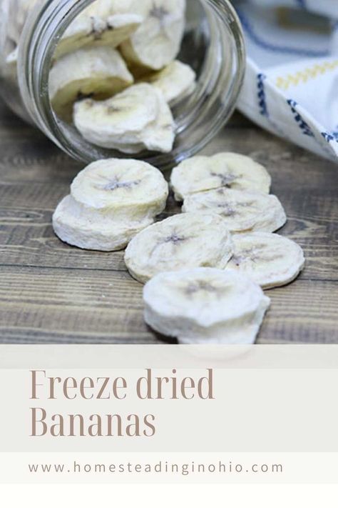 Healthy Fruit Snack, Freeze Dried Food Storage, Dried Banana Chips, Harvest Right Freeze Dryer, Healthy Fruit Snacks, Best Freeze Dried Food, Freeze Dryer, Cereal Dessert, Emergency Food Supply