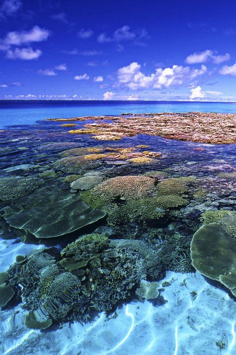 International Date Line, Marshall Islands, Sunny Beach, Beautiful Sunrise, Most Beautiful Beaches, Travel Art, Clear Water, Beautiful Beaches, Amazing Photography