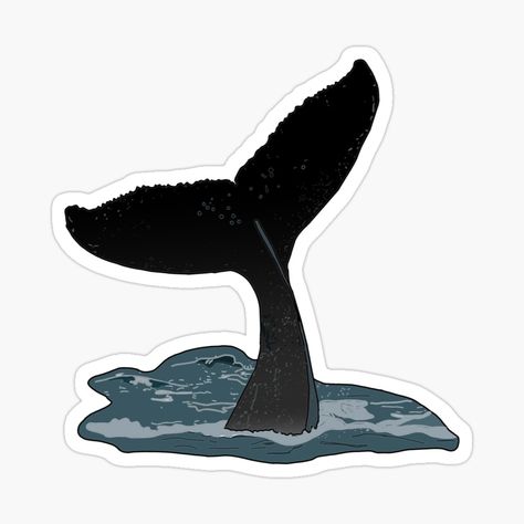 Whale Facts, Whale Sticker, Water Sticker, Surf Stickers, Cute Laptop Stickers, Tumblr Stickers, Computer Sticker, Whale Tail, Water Design