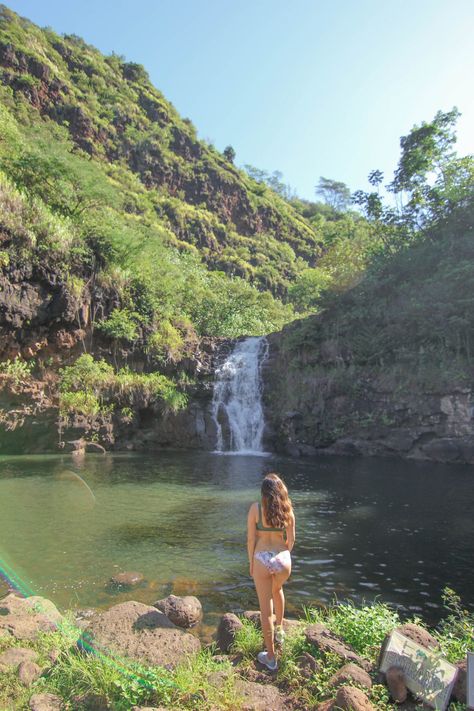 Best Oahu Instagram Spots: a Photography Guide · Le Travel Style Waimea Valley Oahu, Hawaii Checklist, Waimea Falls, San Diego Travel Guide, Things To Do In Oahu, Royal Hawaiian Hotel, Waimea Valley, Oahu Hikes, Hawaii Hikes