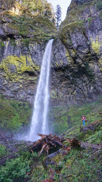 A short hike through the forest to the breathtaking Elowah Falls. Near Cascade Locks, Oregon. Cascade Locks Oregon, A Short Hike, Oregon Life, Waterfall Trail, The Gorge, Oregon Washington, Senior Trip, Columbia River Gorge, Fall Hiking