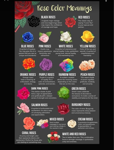 Rose Color Meanings, Rose Meaning, Red Meaning, Message Bible, Flower Meanings, Color Meanings, Language Of Flowers, Everlasting Love, Orange Roses