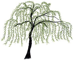 Willow Tree Embroidery, Willow Tree Art, Tree Embroidery Design, Embroidery Stitches Beginner, Feather Embroidery, Cushion Embroidery, Tree Embroidery, Textile Art Embroidery, Feather Stitch