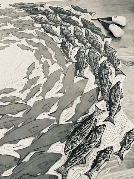 This is a large, hand illustrated and carved Linocut measuring 78cm x 78cm .I have drawn my interpretation of a School of Bass fish directly onto the lino block and then using fine detail printmaking tools, carved the detail.... many many scales! I have titled this Artwork ‘Go Your Own Way’ and if you look closely you’ll see one of the fish swimming in the opposite direction. It is printed by hand on slightly textured, black printmaking paper.This print is part of a limited edition of 20.Please Lino Block, Fish Artwork, Linocut Printmaking, Bass Fish, Go Your Own Way, Linoleum Block, Linocut Art, Printmaking Art, Fish Swimming