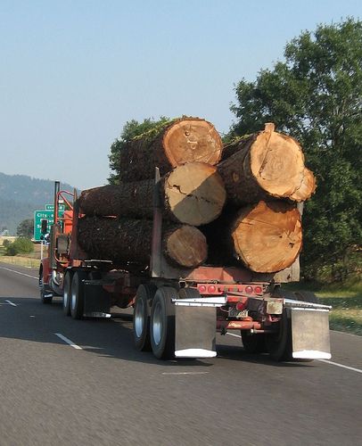 There are a good number of logging trucks running I-5 in Oregon and northern California.  My dad was a trucker for most of his life, and I've always had respect for over the road truckers.  I'd much rather be on the road with a bunch of big rigs than a crowd of four wheels.  The trucker is at work and professional.  Treat him with respect and he'll show some back to you. Log Trailer, Log Truck, Logging Trucks, Logging Industry, Tree Cut, Logging Equipment, Ghost In The Machine, Road Train, Kenworth Trucks