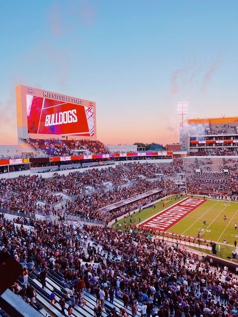 University Of Mississippi Aesthetic, Mississippi State Aesthetic, Sdsu Aesthetic, Mississippi Aesthetic, Mississippi State Baseball, Mississippi State Football, Mississippi Queen, Collage Football, College Lifestyle