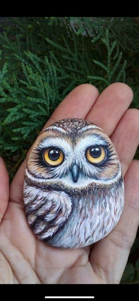 Owl Painted Rocks, Lady Bug Painted Rocks, Owl Rocks, Ladybug Rocks, Painted Rock Animals, Rainbow Rocks, Beautiful Owl, Owl Painting, Paint Rock