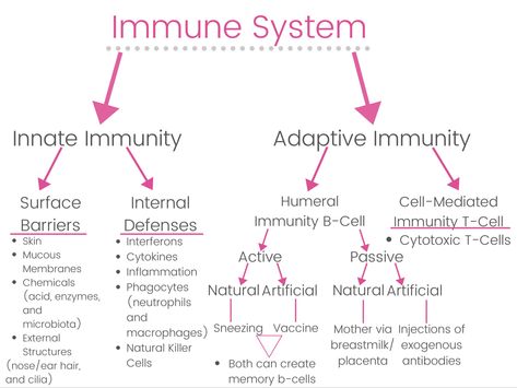 Immunity Nursing, What Is Intelligence, Adaptive Immune System, Medical Laboratory Scientist, Nursing School Motivation, Nurse Study Notes, Basic Anatomy And Physiology, College Life Hacks, Medical Student Study