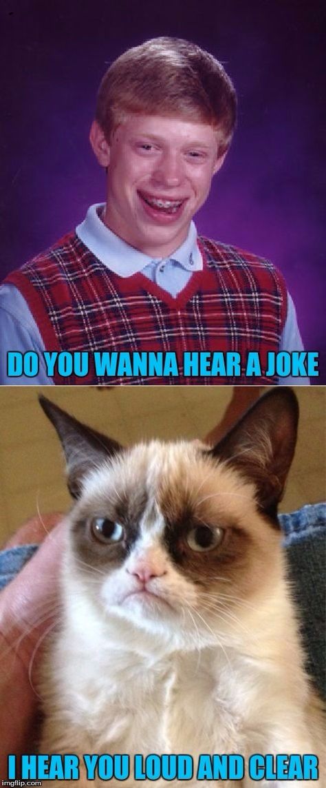 Hey #GrumpyCat wanna hear a #joke ? Heard you loud and clear #BadLuckBrian #LetsGetWordy Bad Luck Brian, Bad Luck, Grumpy Cat, Cat Cat, Cats Dogs, Random Things, Android Apps, Funny Stuff, Dog Cat