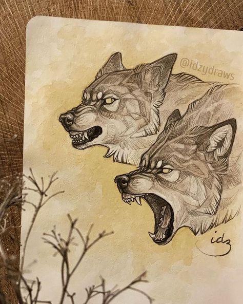 ↟ 𝗶𝗱𝘇𝘆 ↟ в Instagram: «↟ Snaps and snarls of slavering jaws. Pounding feet and tearing claws. The wolves are here. ↟ #idzywrites I love drawing angry boys 🐺» Drawing Angry, Claw Tattoo, Snarling Wolf, Angry Wolf, Wolf Illustration, I Love Drawing, Wolf Drawing, Love Drawing, Ink Sketch