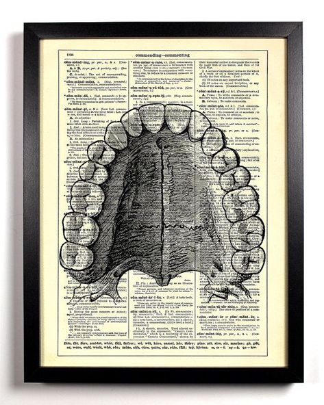 teeth Dental Wallpaper, Human Mouth, Dentist Art, Dental Posters, Dental Aesthetics, Teeth Art, Dental Anatomy, Dental Office Decor, Aesthetic Dentistry