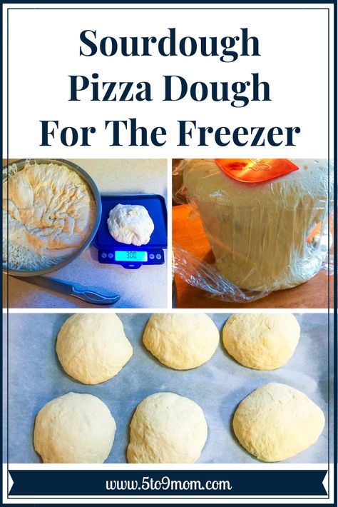 Sourdough Ideas, Fill Your Freezer, Sourdough Pizza Dough, Recipe Using Sourdough Starter, Sourdough Pizza Crust, Sourdough Bread Starter, Sourdough Starter Discard Recipe, Gluten Free Sourdough, Homemade Sourdough Bread