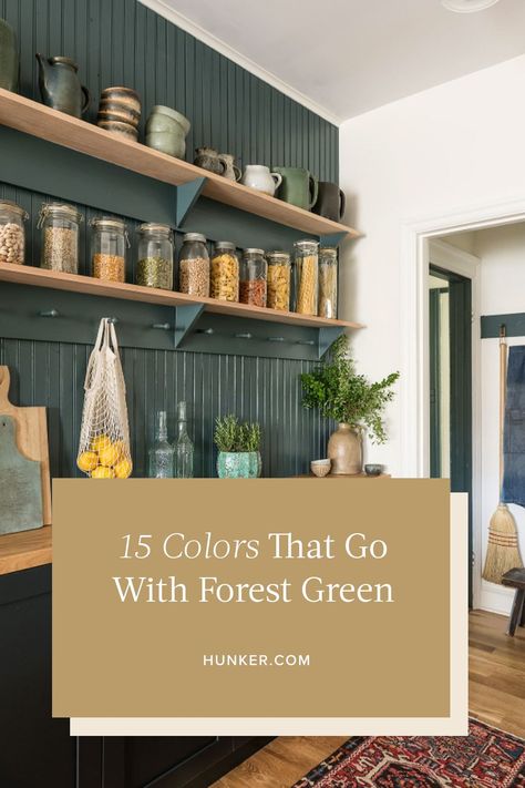 Curtains For Forest Green Bedroom, Green Kitchen Feature Wall, Forest Green Paint Color Accent Walls, Forest Green Bathroom Walls, Colors That Compliment Forest Green, Cabin Green Paint, Teal And Forest Green, Forest House Color Palette, Kitchen Forest Green