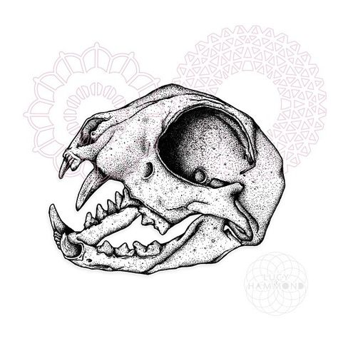 Animal Skull Drawing, Cat Skull Tattoo, Tatuagem Masculina Pequena, Tier Tattoo, Skeleton Drawings, Dotwork Tattoo, Animal Skeletons, Animal Skull, Skulls Drawing