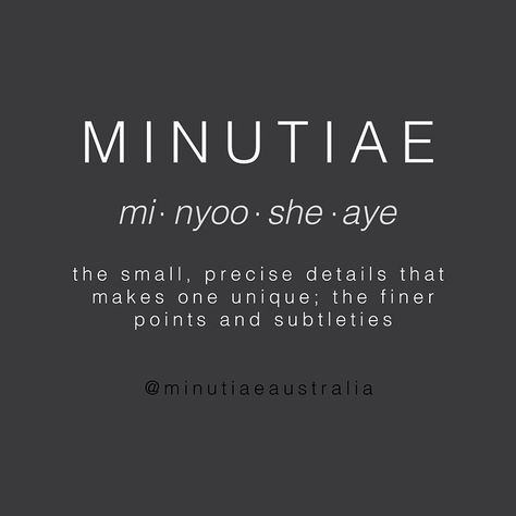 Minutiae = the small, precise details that makes one unique. Unique Words Definitions, Uncommon Words, Fancy Words, One Word Quotes, Weird Words, Unusual Words, Rare Words, Word Definitions, Unique Words