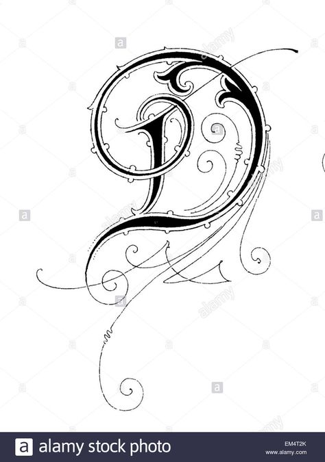 Download this stock image: Letter D, Font: Art Nouveau - EM4T2K from Alamy's library of millions of high resolution stock photos, illustrations and vectors. Letter D Design Creative, D Letter Drawing, D Calligraphy Letter, Letter D Drawing, Letter D Font, Letter D Design, Letter D Tattoo, D Font, D Letter Design