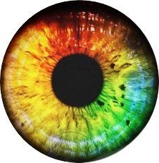 Rainbow pupil Eye Iris, Eye Texture, Eyes Artwork, Blur Background In Photoshop, Texas Art, Rock And Pebbles, Crazy Eyes, Bottle Cap Images, Eye Pattern