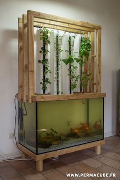 Hydroponic Gardening System, Indoor Aquaponics, Backyard Aquaponics, Aquaponics Fish, Aquaponics Diy, Aquaponic Gardening, Plants Growing, Aquaponics System, Growing Fruit