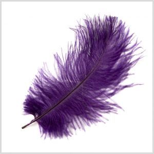 Search results for: 'feather trim' Types Of Fibres, Mood Fabrics, Ostrich Feather, Dress Forms, Buy Fabric, Ostrich Feathers, Fabric Online, Fashion Fabric, Fabric By The Yard