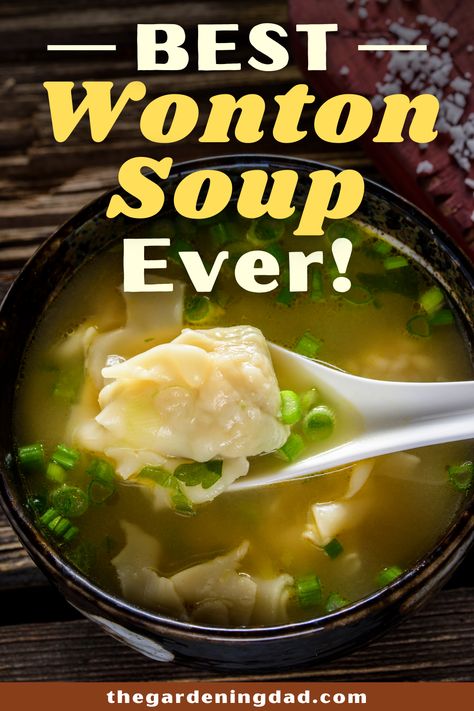 Best Wonton Soup, Wonton Soup Recipes, Won Ton Soup, Wonton Soup Recipe, Chinese Soups, Chinese Soup Recipes, Asian Soup Recipes, Won Ton, Asian Soups