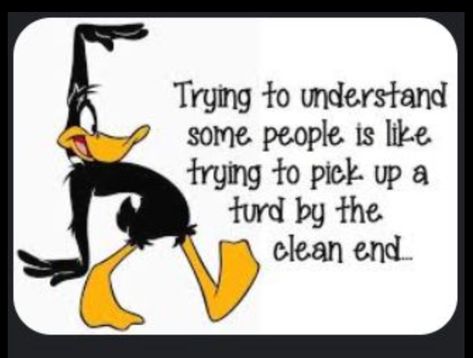 Daffy Duck Quotes, Duck With Knife, Duck Quotes, Duck Meme, Funny Day Quotes, Cute Duck, Funny Quotes Sarcasm, Funny Jokes For Adults, Daffy Duck