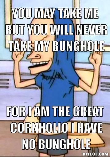 Beavis & Butthead: Cornholio (timeless-epic) Beavis And Butthead Quotes, Old Cartoon Shows, Beavis And Butthead, First World Problems, Chameleons, Funny Photography, Pinterest Memes, World Problems, Birthday Meme