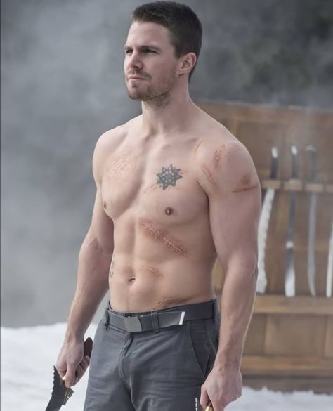 Stephen Amell Shirtless, Shemar Moore Shirtless, Oliver Queen Arrow, Jenny Boyd, Corporate Job, Shemar Moore, Men Aesthetic, Oliver Queen, Stephen Amell