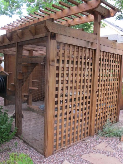 Dog Enclosures, Diy Cat Enclosure, Cat Habitat, Ideas For Cats, Cat Fence, Cats Outside, Cat Patio, Outdoor Cat Enclosure, Cat House Diy