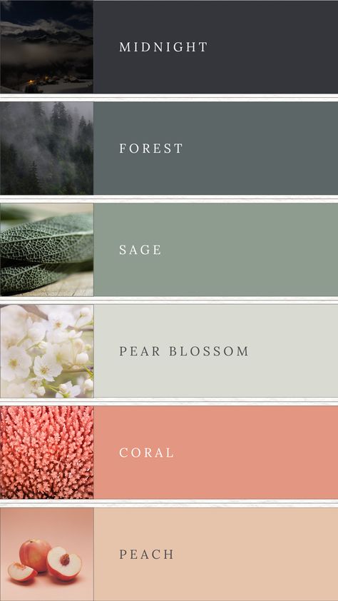 Bedroom Design Palette, Nature Wedding Color Schemes, Bold Home Color Palette, Jade Color Palette Colour Schemes, Color Schemes For Small Spaces, Earth Colour Palette Nature, Color Palette Sophisticated, Sage Green Colors Palette, Sage Grey Color Palette