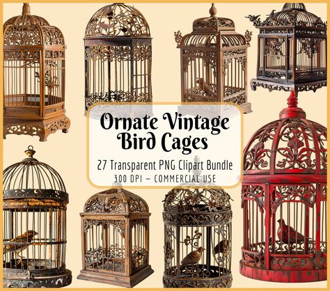 Elevate your creative projects with the timeless charm of our Ornate Vintage Bird Cages Clipart Bundle. This carefully curated collection of antique birdcage illustrations brings a touch of nostalgia and shabby chic elegance to your designs. Here's what this enchanting bundle has to offer: - Vintage Elegance: Immerse your designs in the allure of a bygone era with intricately designed vintage birdcages. Each clipart showcases ornate details, capturing the essence of antique craftsmanship. The timeless dignity of these birdcages adds a sophisticated touch to your projects. - High-Resolution Quality: Ensure that your designs radiate with clarity and detail. The clipart in this bundle boasts a high resolution of 300 DPI, providing sharp and lifelike images that enhance the visual appeal of yo Vintage Bird Decor, Vintage Bird Cages, Antique Birdcage, Antique Bird Cages, Vintage Bird Cage, Vintage Bird, Bird Cages, Vintage Elegance, Bygone Era