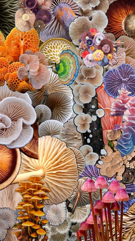 Mushrooms, ripples, crevices, beauty, growth, organic. Cream, pink, violet, purple, orange, green, mauve, Organic Cream, Bio Art, Violet Purple, Jewelry Fashion Trends, Purple Orange, In Nature, Mood Boards, Mood Board, Violet