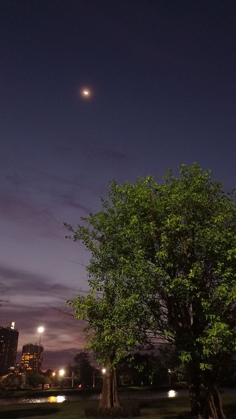 Night View Aesthetic Moon, Aesthetic Buildings Night, Moon View Aesthetic, Dark Night Aesthetic Wallpaper, Dark Trees Aesthetic, Aesthetic Place Night, Night Tree Aesthetic, Night Core Aesthetic, Night View Wallpaper