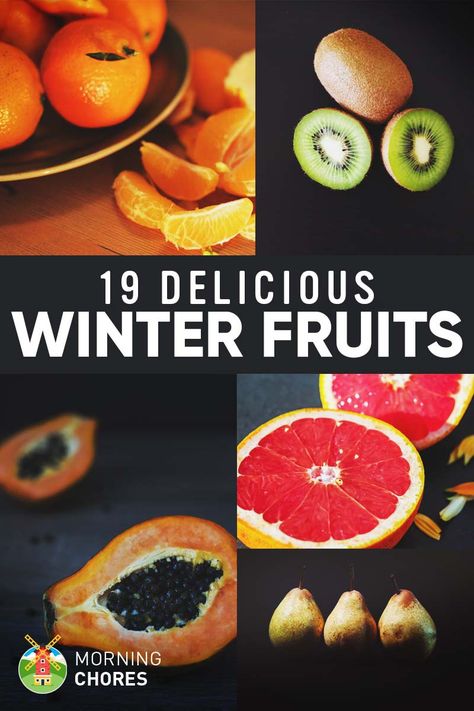 Want to know which fruits grow in the winter? Here's a list of the most delicious winter fruits that you can grow and enjoy during the cold season. Beginner Garden, Fruitarian Diet, Fruit Trees In Containers, Winter Fruits, Winter Meals, Fruit Diet, Fruit List, Fruit Packaging, Winter Fruit