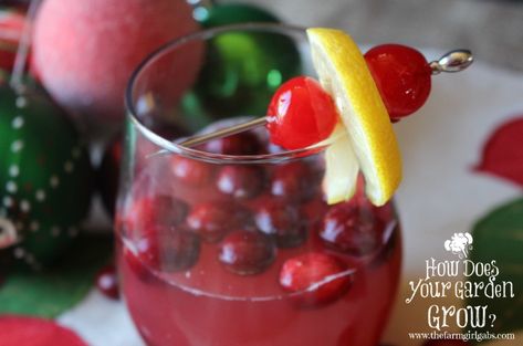 Jingle Juice cocktail from www.thefarmgirlgabs.com Cranberry Limeade, Limeade Punch, Belle Of The Kitchen, Easy Holiday Drinks, Best Non Alcoholic Drinks, Mint Cocktails, Cranberry Vodka, Diy Easy Recipes, Best New Recipes