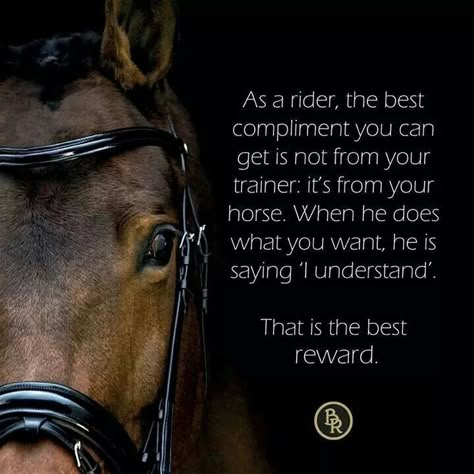 As a writer, the best compliment you can get is not from your trainer, it's from your horse. When he does what you want, he is saying "I understand". That is the best reward. Trainer Quotes, Rider Quotes, Equine Quotes, Horse Sayings, Inspirational Horse Quotes, Horse Riding Quotes, Equestrian Quotes, Cowboy Quotes, Cowgirl Quotes