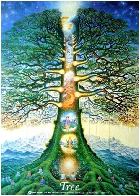 Tree Of Life Pictures, Boom Kunst, Frida Art, Tree Of Life Art, Soyut Sanat Tabloları, Les Chakras, The Tree Of Life, Garden Of Eden, Arte Fantasy