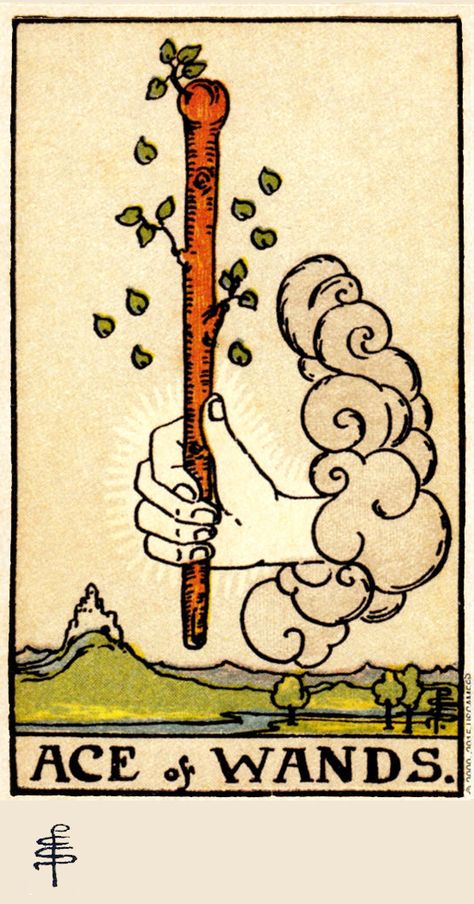 the Ace of Wands, a hand reaches out from a cloud, as if a spiritual opportunity or offering is being made, to grasp a wand that is still flowering, growing and developing. The leaves floating down with the wind signify material and spiritual progress and balance. In the distance on the left, there is a castle that represents the promise of what opportunities may come. Ace Of Wands, Read Tarot, Rider Waite Tarot Cards, Rider Waite Tarot Decks, Wands Tarot, Tarot Significado, Learning Tarot Cards, Tarot Meanings, Online Tarot