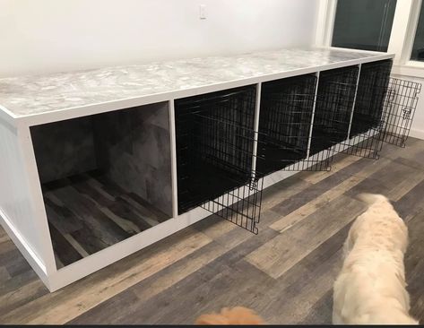 4 Dog Kennel Indoor, Dog Grooming Salon Kennel Ideas, Dog Grooming Kennel Ideas, Multi Dog Kennel Ideas, Dog Breeding Setup, Indoor Dog Kennel Ideas, Dog Kennel Ideas Indoor, Dog Breeders Kennels, Dog Breeding Kennels