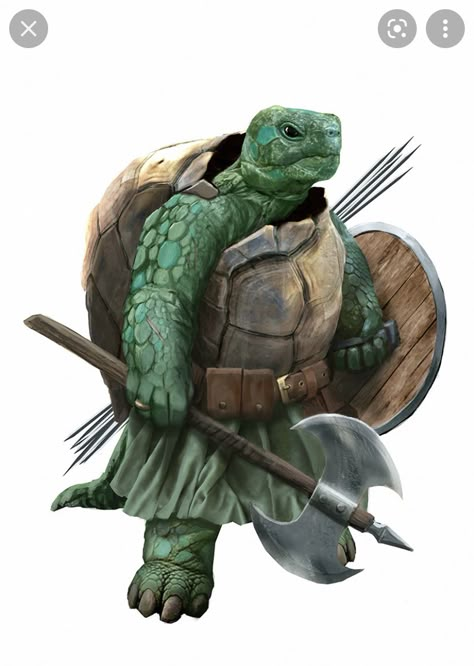 Dnd 5e Lizardfolk, Dnd Tortle Character Art, Tortle Dnd, Commission Prices, Character Commission, Pathfinder Character, Dnd Races, Dnd Character Art, Fantasy Races