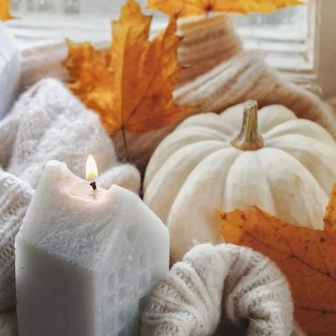 Welcoming autumn with open arms and cozy vibes! 🍂✨ The season of warm hues, crisp air, and endless inspiration for new designs. Fall is here, and I can’t wait to create pieces that capture its magic! 🍁 #HelloAutumn #FallVibes #JewelryInspiration #VintageInspiredJewelry #PapillionEra #naturelover #SpreadLove Fall Home Decor Ideas, Candle Picture, Autumn Candle, Aesthetic Autumn, Autumn Scenes, Vintage Inspired Jewelry, Seasonal Decorations, Open Arms, Fall Is Here