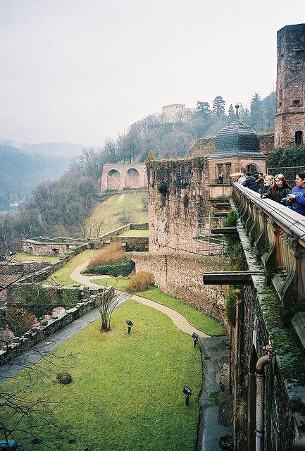 Heidleburg Castle, Heidleburg Germany, Rhineland Germany, Heidelberg Castle, Castle Germany, Beautiful Germany, Castles To Visit, Heidelberg Germany, Foggy Day