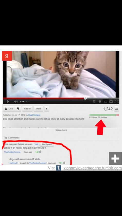 Dogs with reasonable IT skills Funny Youtube Comments, Youtube Comments, Funny Af, Smosh, Funny Comments, Tumblr Funny, Bones Funny, Funny Things, Funny Images