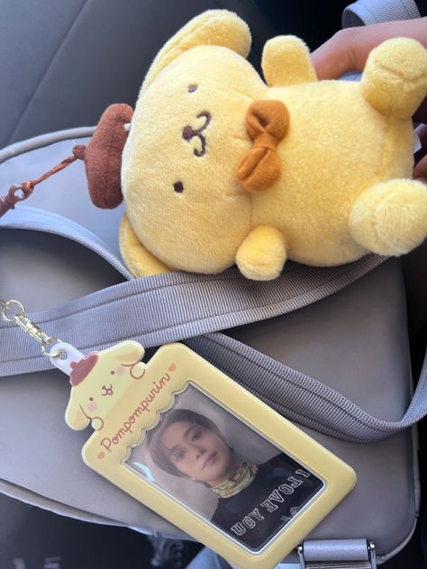 Pompompurin Photocard Holder, Nct Photocard Holder, Sanrio Pc Holder, Jaehyun Pompompurin, Pompompurin Merch, Sanrio Photocard Holder, Pompompurin Stuff, Pc Holder Kpop, Kpop Photocard Binder