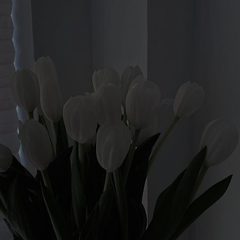 Minimal Aesthetic Black And White, White Tulips Dark Aesthetic, Dark Tulips Aesthetic, Tulipanes Aesthetic, Dark Minimalist Aesthetic, Blackandwhite Aesthetic, Widget Iphone, Low Exposure, Vintage Flowers Wallpaper