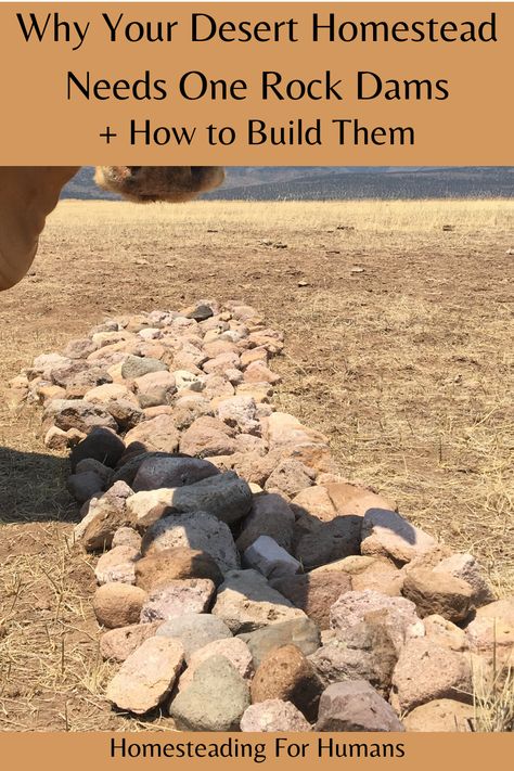 One rock dams are essential in the desert! Learn what they are, why they are important, and how to build one. Water In The Desert, Off Grid Desert Living, Desert Farming, Desert Homestead, Food Forest Design, Desert Farm, Underground Living, Homestead Layout, Desert Gardening